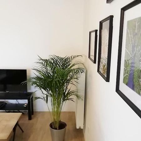 Appartement Proche Chu Avec Balcon Et Parking Lille Exterior foto