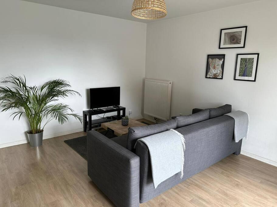 Appartement Proche Chu Avec Balcon Et Parking Lille Exterior foto